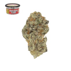 Northern Fiore Strain