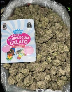 White Bubble Gum Gelato | Backpackboyz