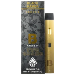 Blinkers Disposable Vape 2 Gram