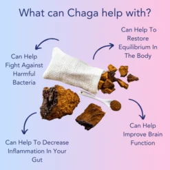 Chaga Mushroom & Apple Cider Vinegar for Wellness