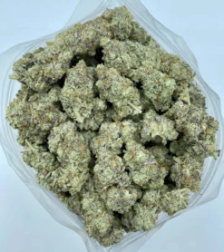 Snow Man Strain | Cookies