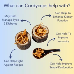 Cordyceps & Panax Ginseng Mushroom Gummies for Energy