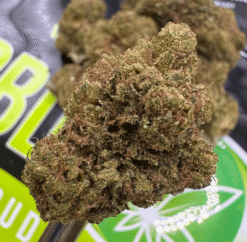 Buy Jack herer - CBD Flower