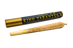 Ganja Gold/King Tarantula