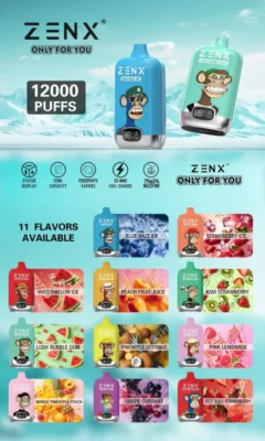 ZENX NFT Digital Box 12000 Puffs Disposable Vape Pod – 20ML(Nic 2%/5%)